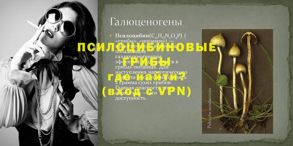 a pvp Пересвет