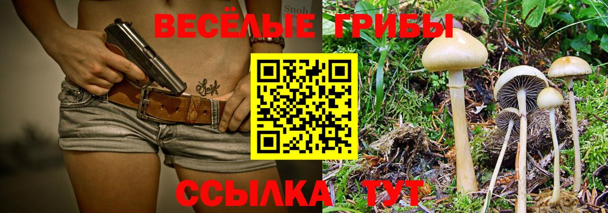 Псилоцибиновые грибы GOLDEN TEACHER  Галлюциногенные грибы мицелий  Кунгур 