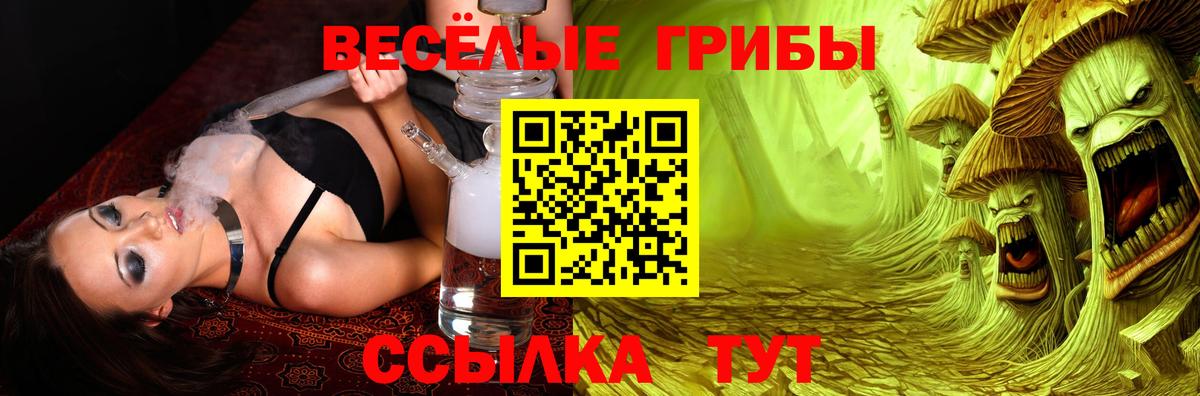 Псилоцибиновые грибы прущие грибы Кунгур